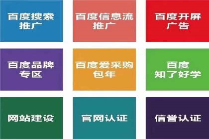 SEM竞价代运营公司成功案例分析
